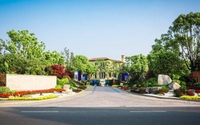 Maximizing Driveway Lifespan: Advanced Maintenance Techniques